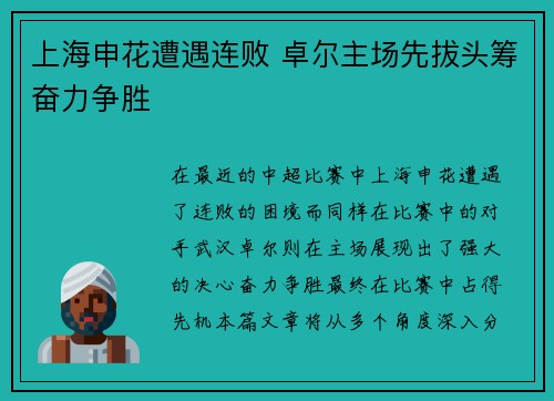 上海申花遭遇连败 卓尔主场先拔头筹奋力争胜