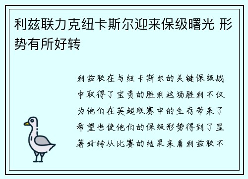 利兹联力克纽卡斯尔迎来保级曙光 形势有所好转