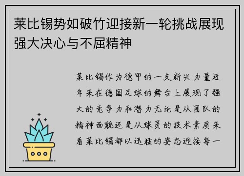 莱比锡势如破竹迎接新一轮挑战展现强大决心与不屈精神
